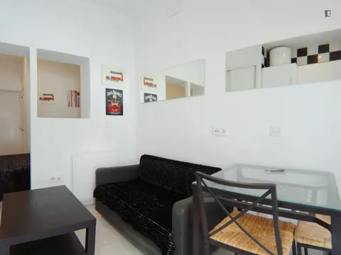 Pis de 28 m² a Madrid
