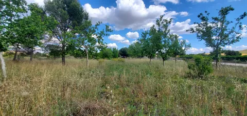 Pis de 13400 m² a Bargas