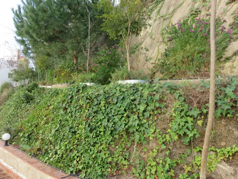 Wohnung 41 m² in Arenys de Mar