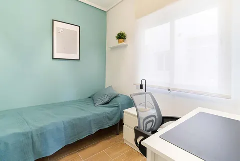 Habitació de lloguer, Elx