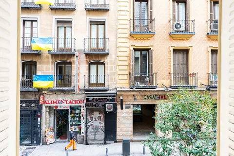 Stanza in affitto, Madrid (2/21)