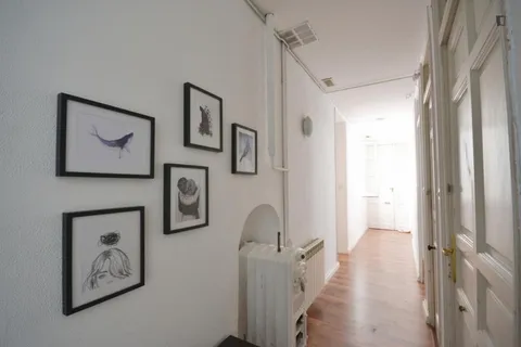 Stanza in affitto, Madrid