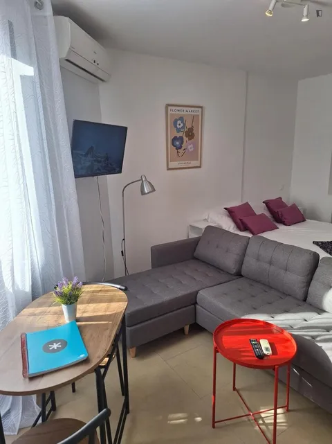 Flat 45 m² in Seville (3/10)
