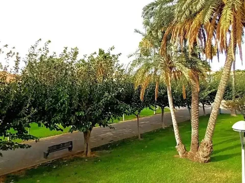 Pis de 53 m² a Torreblanca