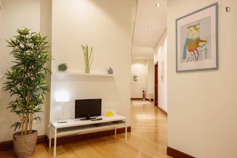 Room for rent, Bilbao