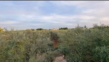 Appartamento 110 m² a Binissalem