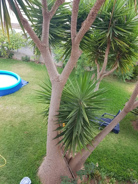 Pis de 75 m² a Vinaròs