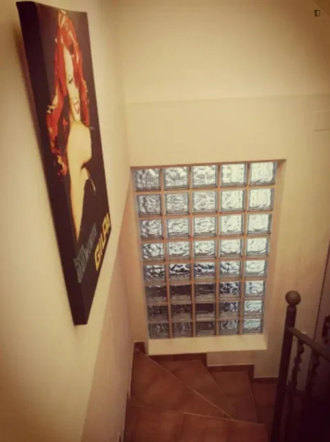 Habitació de lloguer, Burjassot
