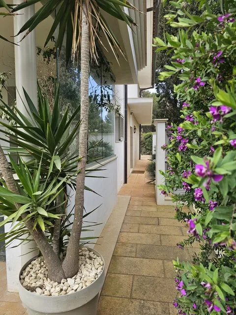 Casa 452 m² a Calvià