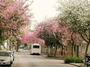 Stanza in affitto, Málaga