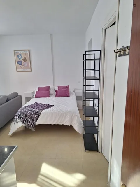 Flat 45 m² in Seville
