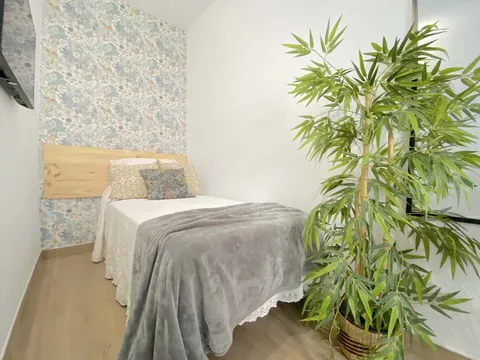 Habitació de lloguer, Sevilla