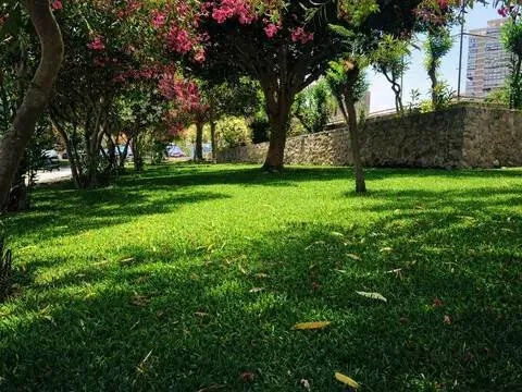 Apartamento 60 m² em Alacant / Alicante