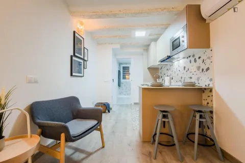 Pis de 29 m² a Barcelona