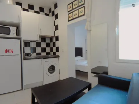 Pis de 30 m² a Madrid