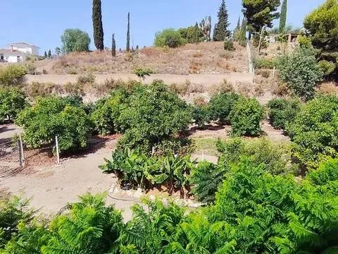 Appartamento 70 m² a Frigiliana