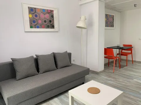 Pis de 39 m² a Madrid