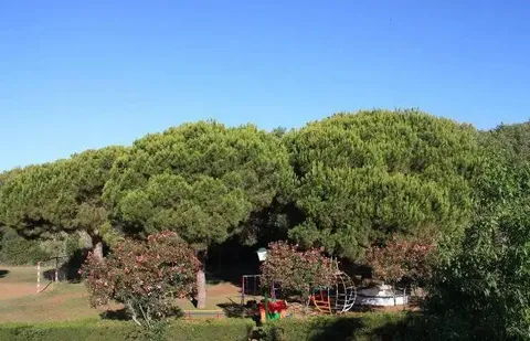 Casa de 180 m² a Estepona