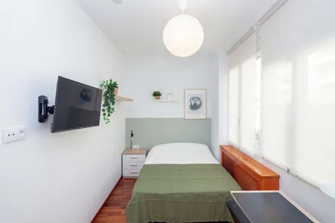 Stanza in affitto, Valencia