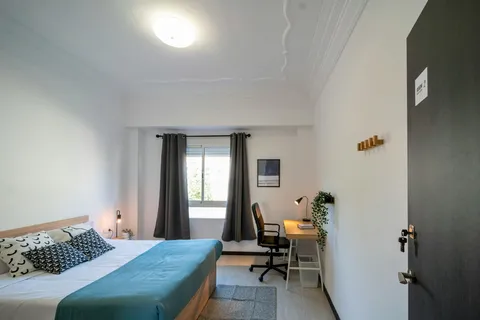 Stanza in affitto, Valencia