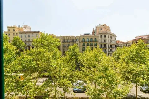 Комната в аренду, Барселона