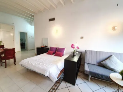 Flat 27 m² in Barcelona (2/15)