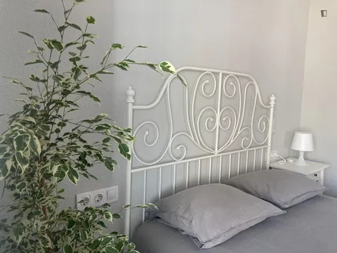 Habitació de lloguer, Alacant