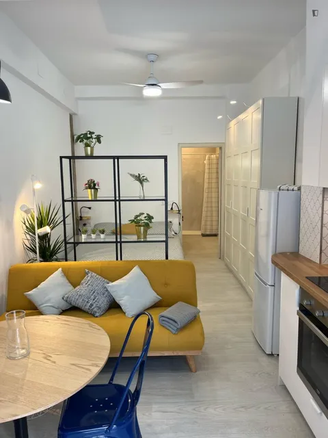 Pis de 24 m² a València