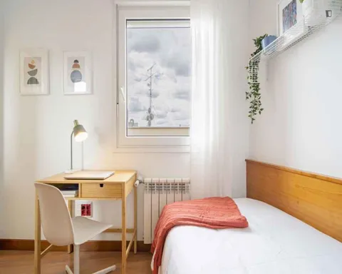 Stanza in affitto, Madrid