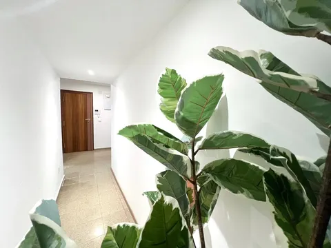 Stanza in affitto, Valencia