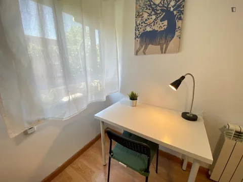 Chambre à louer, Madrid