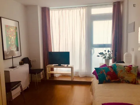 Pis de 28 m² a Madrid