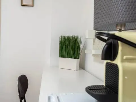 Chambre à louer, Madrid