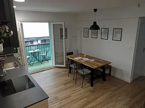 Habitació de lloguer, Bilbao