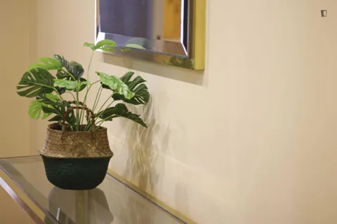 Room for rent, Barcelona
