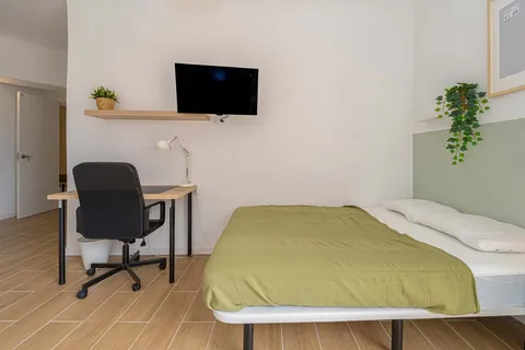 Habitació de lloguer, Alacant