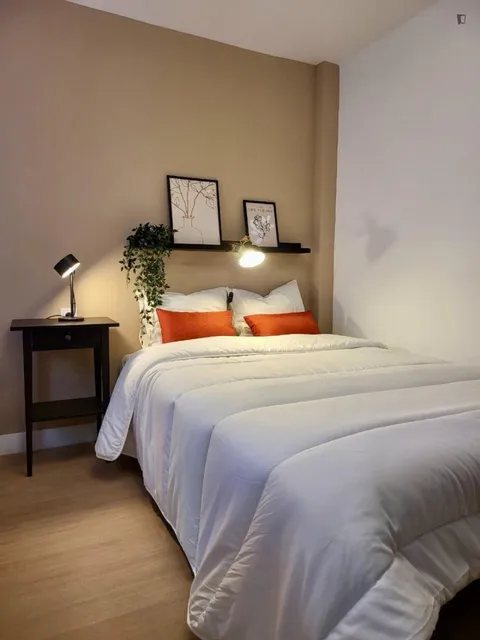 Habitació de lloguer, Alacant