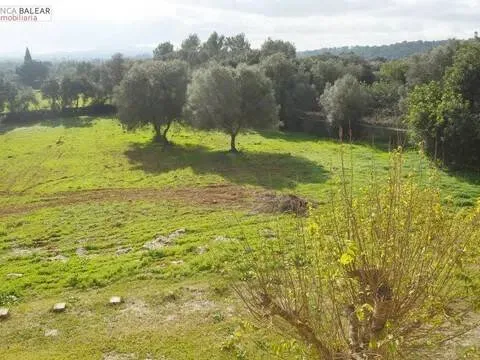 Pis de 300 m² a Costitx