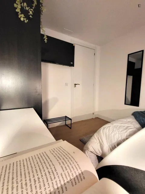 Habitació de lloguer, Alacant