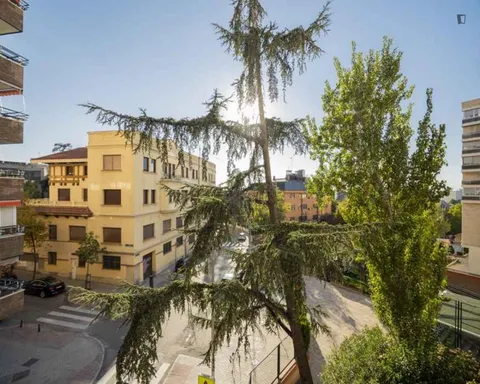 Habitació de lloguer, Madrid
