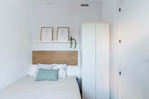 Room for rent, Madrid (2/21)