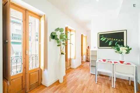 Appartamento 40 m² a Madrid