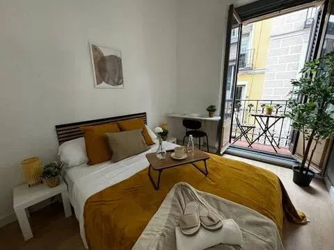 Habitació de lloguer, Madrid (3/18)