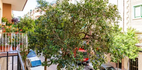 Zimmer zur Miete, l'Hospitalet de Llobregat (4/17)
