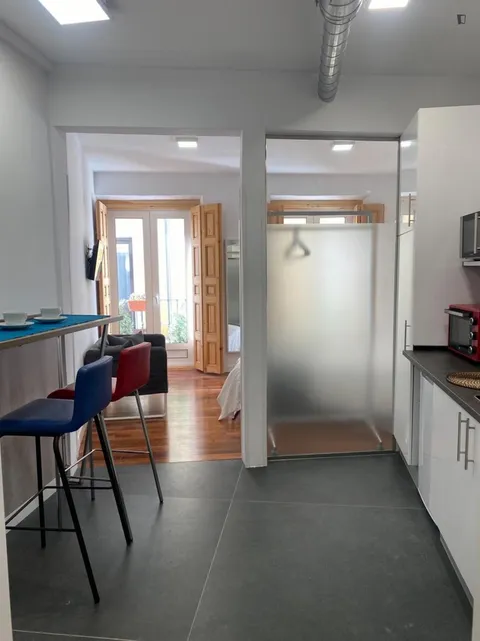 Pis de 28 m² a Madrid