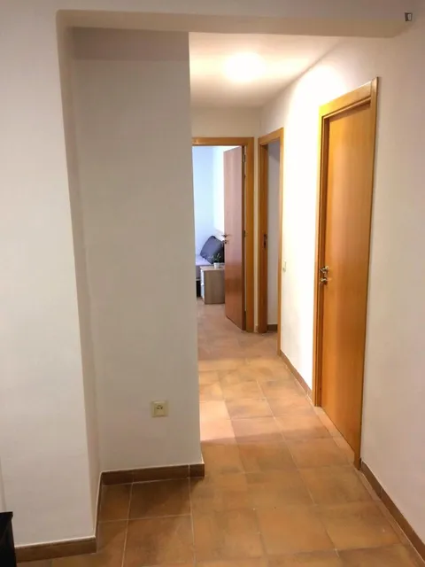 Stanza in affitto, Valencia