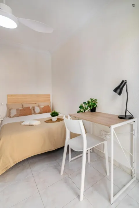 Stanza in affitto, Valencia