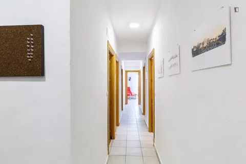 Stanza in affitto, Granada