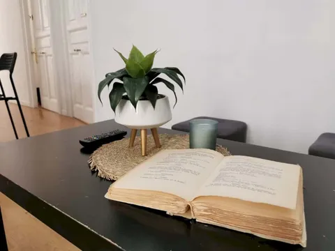Stanza in affitto, Madrid