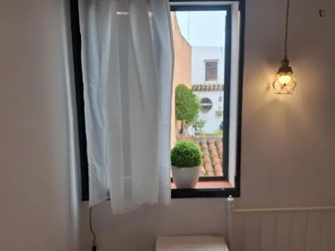 Habitació de lloguer, Sevilla